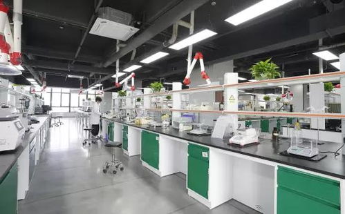 技術驅動，全球布局 一家潤滑油企業的出海新篇章